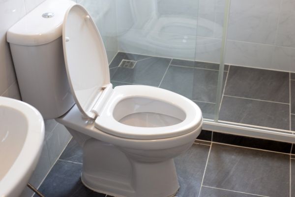 Toilet Replacement in Wexford